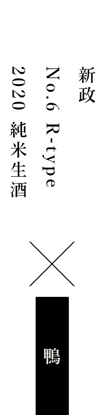 新政 No.6 R-type 2020 純米生酒